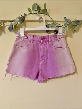 BDG Long Line Ombre Carpenter Shorts